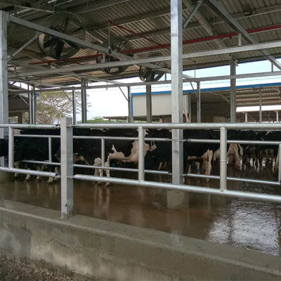 Профессиональное сборное стальное каркасное здание для птицефермы