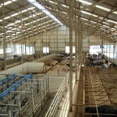 Индивидуальный стальной каркас птичника с быстрой установкой