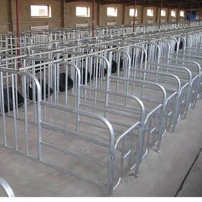 Индивидуальный стальной каркас птичника с быстрой установкой